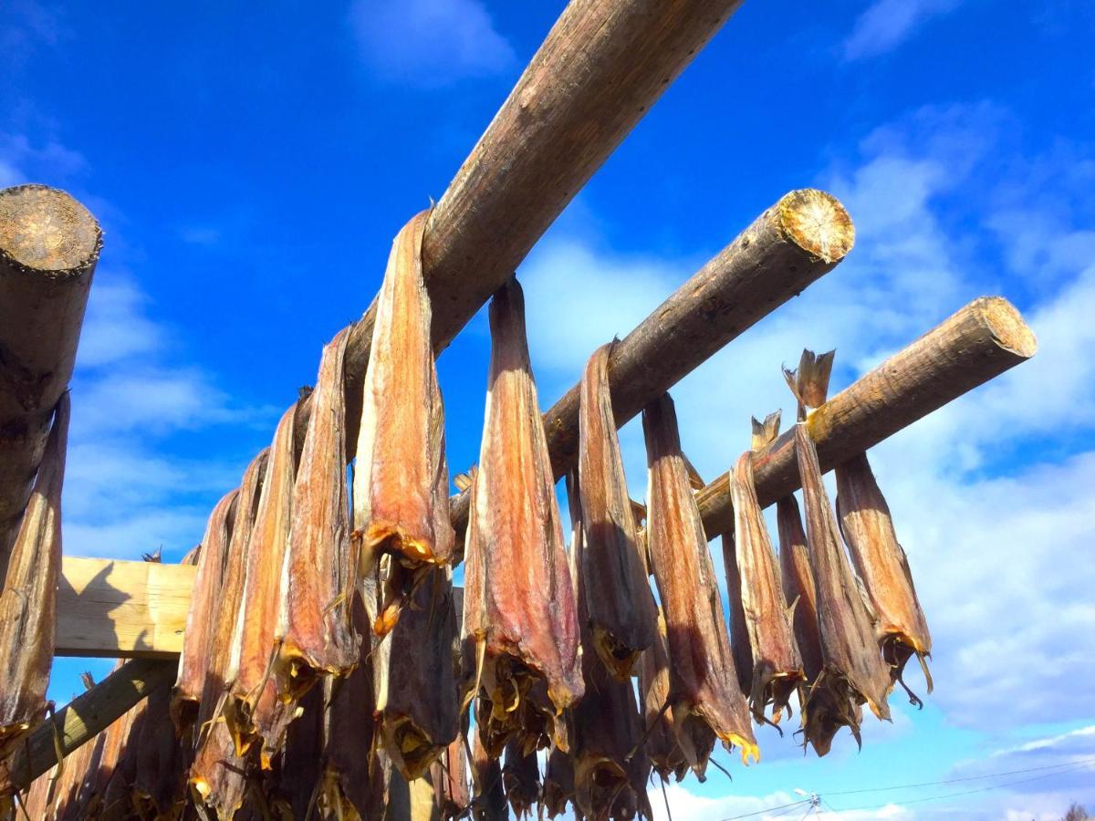 Fishermans Dock Lofoten Ballstad Ngoại thất bức ảnh